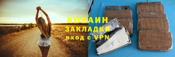 ГАЛЛЮЦИНОГЕННЫЕ ГРИБЫ Корсаков