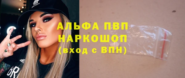 ГАЛЛЮЦИНОГЕННЫЕ ГРИБЫ Корсаков