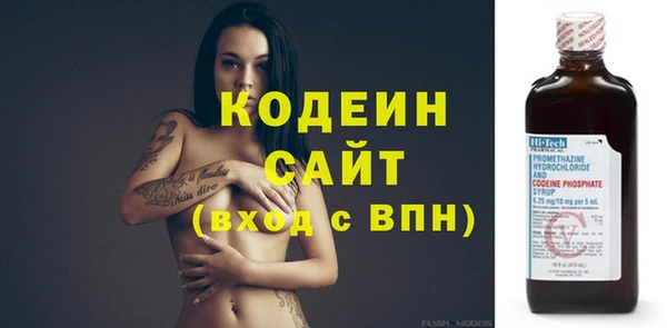 ГАЛЛЮЦИНОГЕННЫЕ ГРИБЫ Корсаков