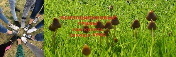 a pvp Володарск