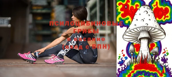 герыч Козловка