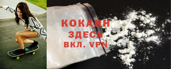 ГАЛЛЮЦИНОГЕННЫЕ ГРИБЫ Корсаков