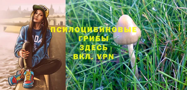 синтетический гашиш Костерёво