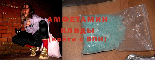 ГАЛЛЮЦИНОГЕННЫЕ ГРИБЫ Корсаков