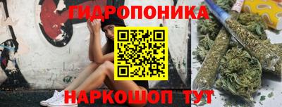 стаф Кимры