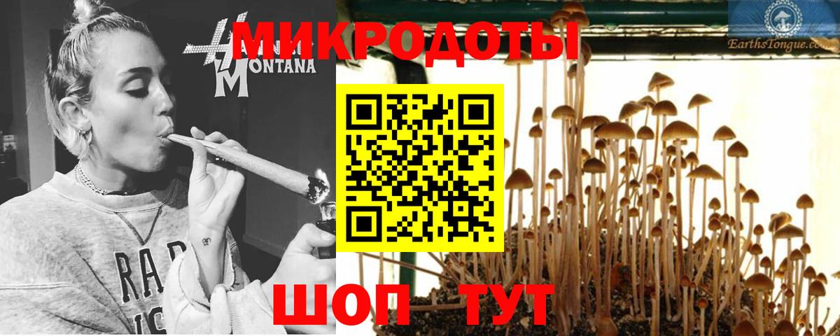Псилоцибиновые грибы MAGIC MUSHROOMS Сызрань