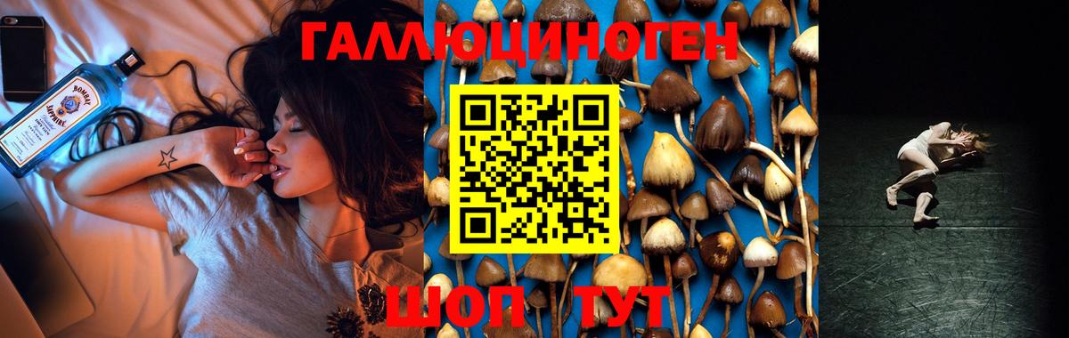 Сызрань  Галлюциногенные грибы Cubensis  Псилоцибиновые грибы Psilocybe  Вход с VPN 